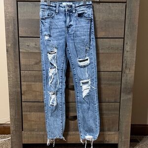 Willow and Root brand distressed denim jean